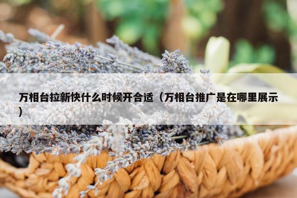 万相台拉新快什么时候开合适（万相台推广是在哪里展示）