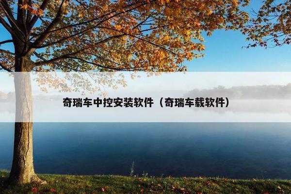 奇瑞车中控安装软件（奇瑞车载软件）