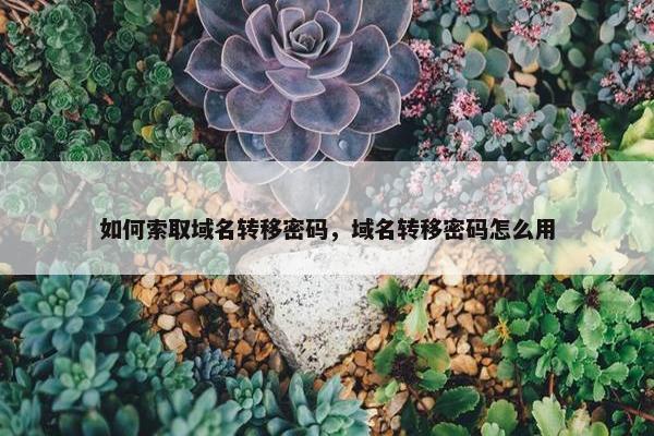 如何索取域名转移密码，域名转移密码怎么用