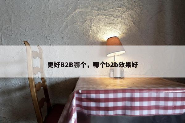 更好B2B哪个，哪个b2b效果好