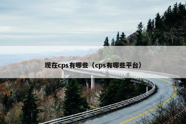 现在cps有哪些（cps有哪些平台）