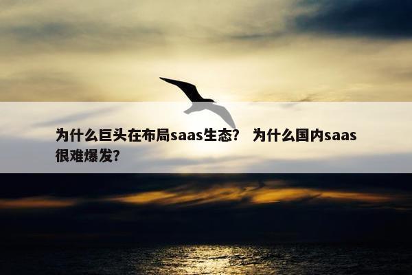 为什么巨头在布局saas生态？ 为什么国内saas很难爆发？