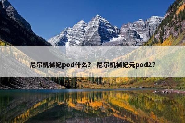 尼尔机械纪pod什么？ 尼尔机械纪元pod2？
