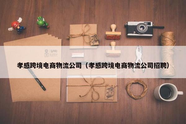 孝感跨境电商物流公司（孝感跨境电商物流公司招聘）