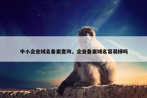 中小企业域名备案查询，企业备案域名容易掉吗