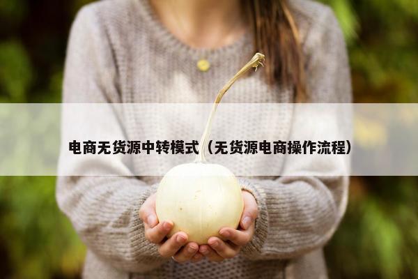 电商无货源中转模式（无货源电商操作流程）