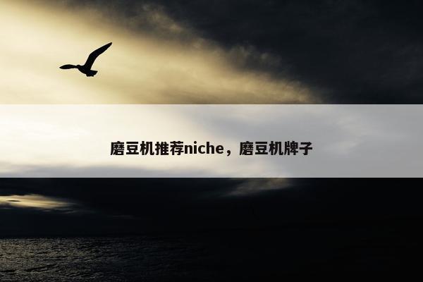 磨豆机推荐niche，磨豆机牌子