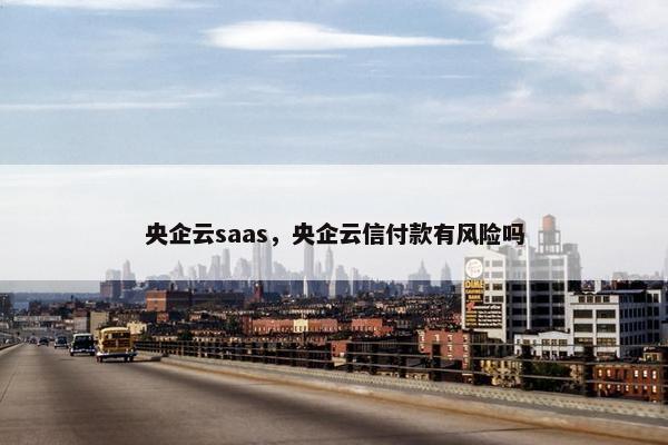 央企云saas，央企云信付款有风险吗
