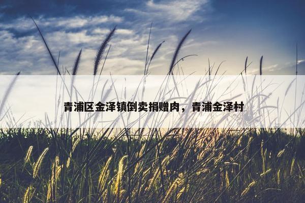 青浦区金泽镇倒卖捐赠肉，青浦金泽村