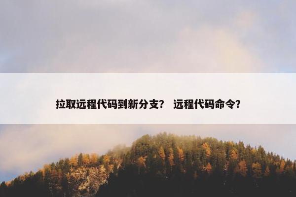拉取远程代码到新分支？ 远程代码命令？