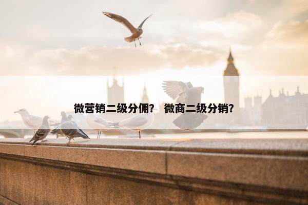 微营销二级分佣？ 微商二级分销？
