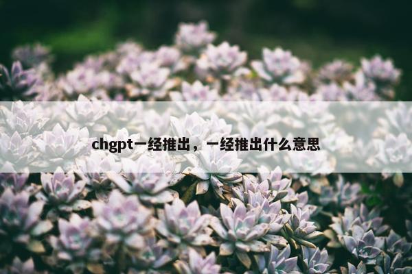 chgpt一经推出，一经推出什么意思