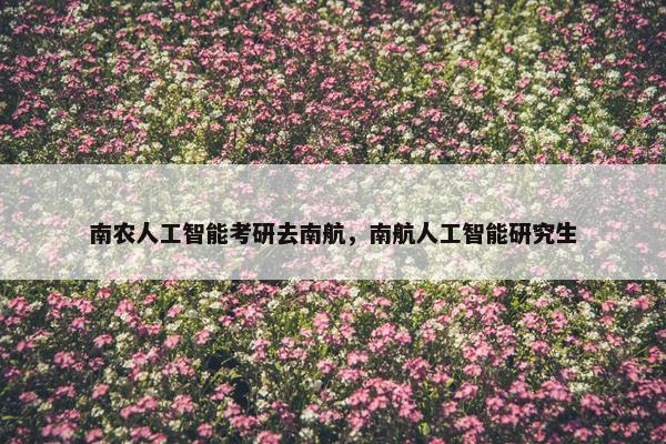 南农人工智能考研去南航，南航人工智能研究生