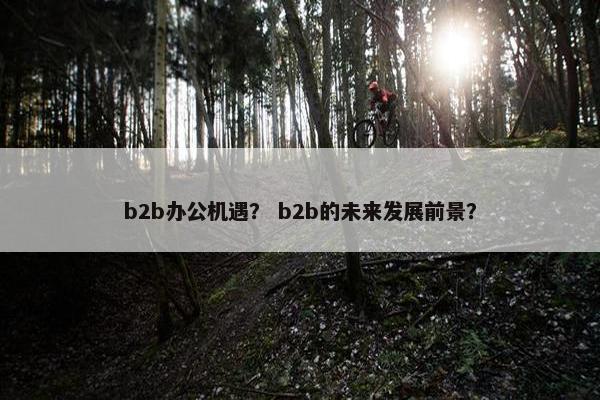 b2b办公机遇？ b2b的未来发展前景？