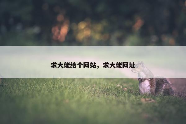 求大佬给个网站，求大佬网址