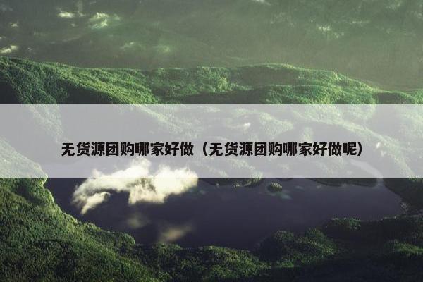 无货源团购哪家好做（无货源团购哪家好做呢）