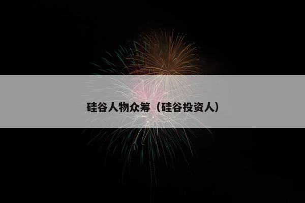 硅谷人物众筹（硅谷投资人）