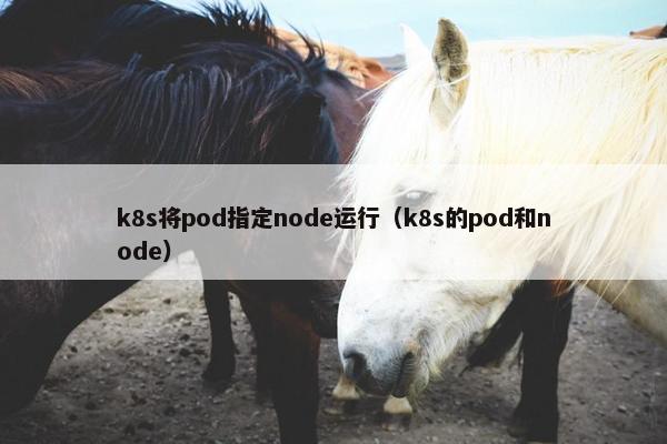 k8s将pod指定node运行（k8s的pod和node）