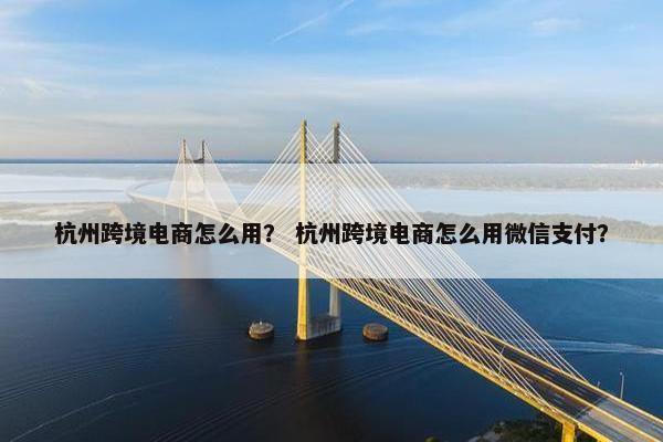 杭州跨境电商怎么用？ 杭州跨境电商怎么用微信支付？
