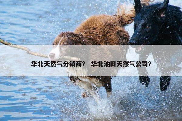 华北天然气分销商？ 华北油田天然气公司？