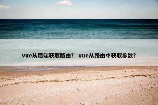 vue从后端获取路由？ vue从路由中获取参数？