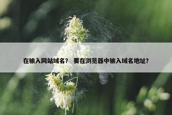 在输入网站域名？ 要在浏览器中输入域名地址？