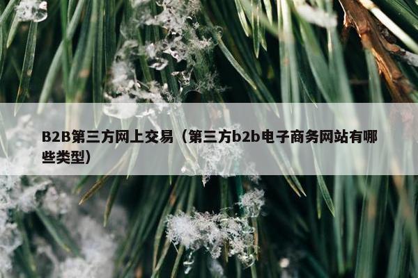B2B第三方网上交易（第三方b2b电子商务网站有哪些类型）