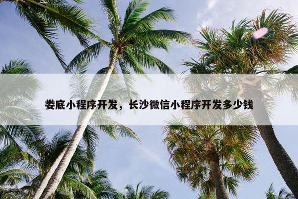 娄底小程序开发，长沙微信小程序开发多少钱