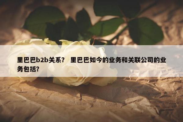里巴巴b2b关系？ 里巴巴如今的业务和关联公司的业务包括？