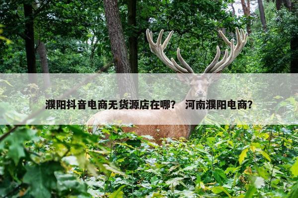 濮阳抖音电商无货源店在哪？ 河南濮阳电商？