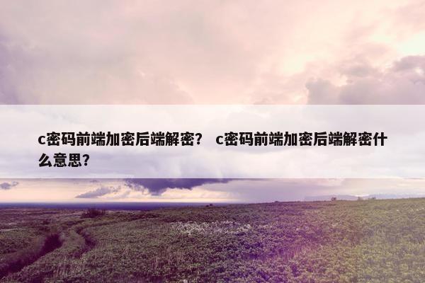 c密码前端加密后端解密？ c密码前端加密后端解密什么意思？