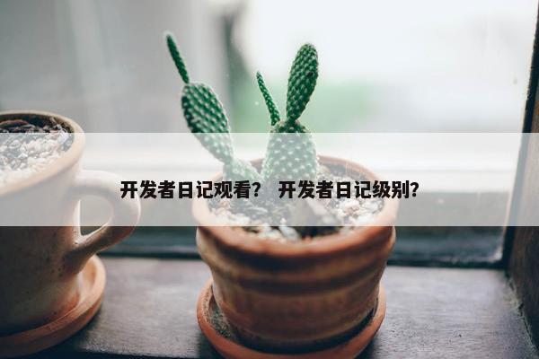 开发者日记观看？ 开发者日记级别？