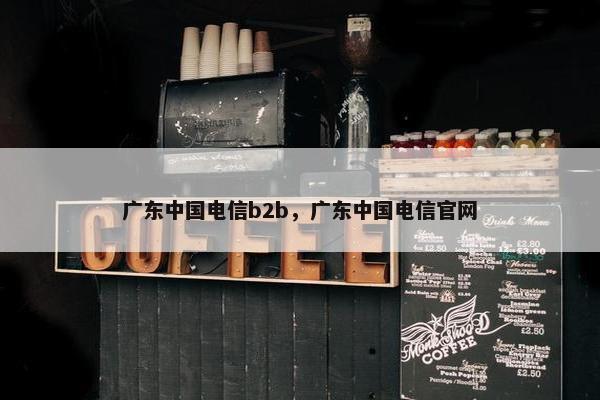 广东中国电信b2b，广东中国电信官网