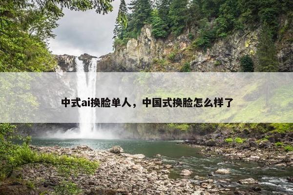 中式ai换脸单人，中国式换脸怎么样了