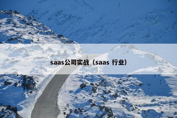 saas公司实战（saas 行业）