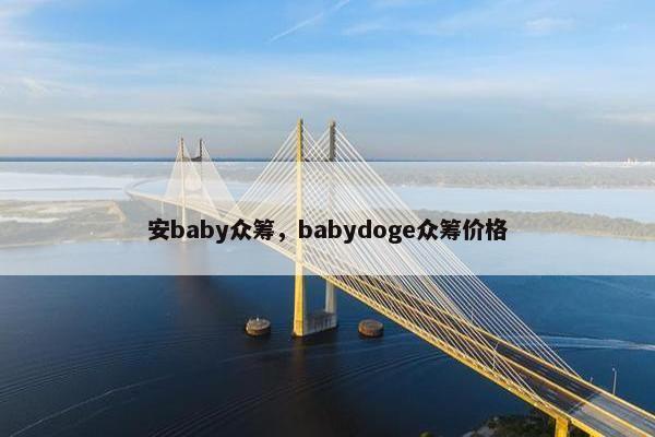 安baby众筹，babydoge众筹价格