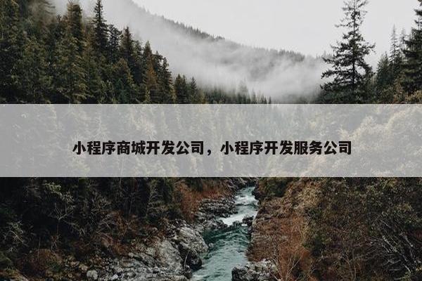 小程序商城开发公司，小程序开发服务公司