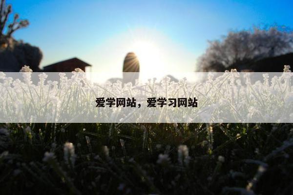 爱学网站，爱学习网站