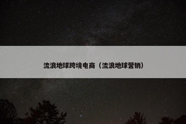 流浪地球跨境电商（流浪地球营销）