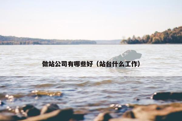 做站公司有哪些好（站台什么工作）
