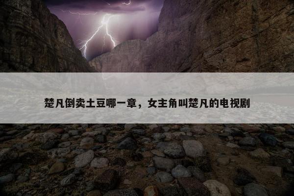 楚凡倒卖土豆哪一章，女主角叫楚凡的电视剧