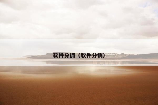 软件分佣（软件分销）