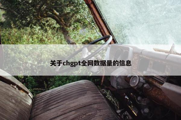 关于chgpt全网数据量的信息