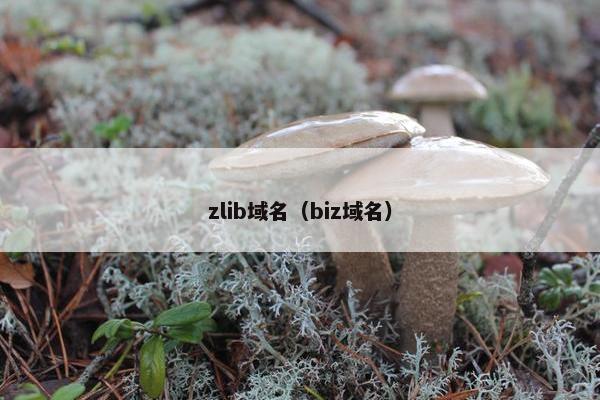 zlib域名（biz域名）