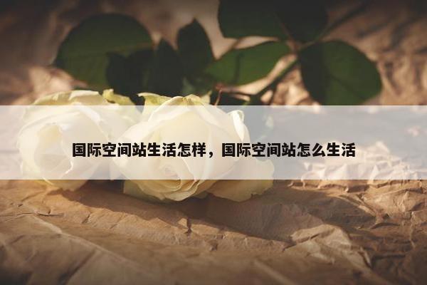 国际空间站生活怎样，国际空间站怎么生活