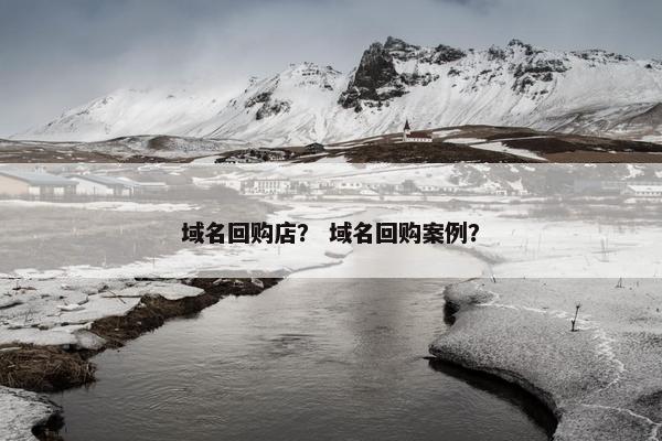 域名回购店？ 域名回购案例？