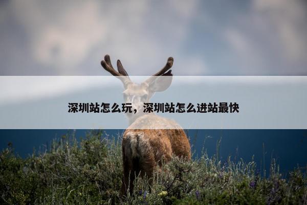 深圳站怎么玩，深圳站怎么进站最快