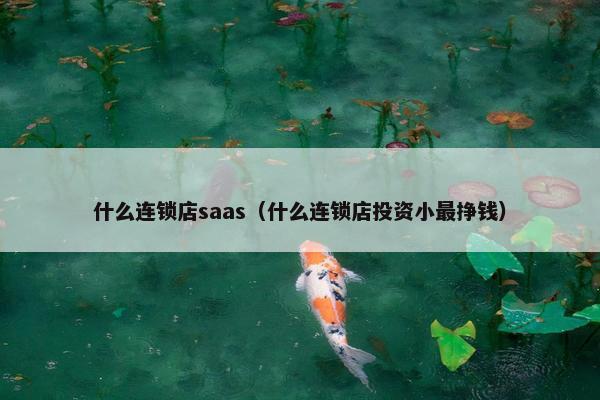 什么连锁店saas（什么连锁店投资小最挣钱）