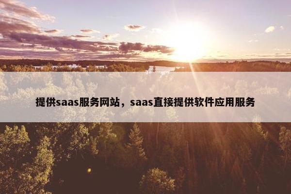 提供saas服务网站，saas直接提供软件应用服务