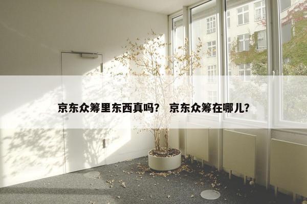 京东众筹里东西真吗？ 京东众筹在哪儿？